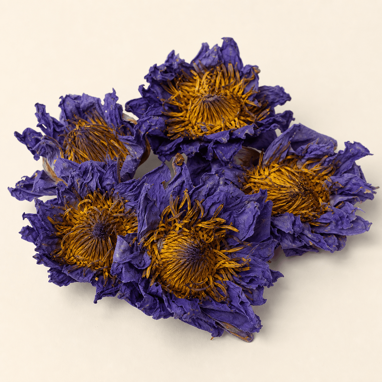 Organic Blue Lotus Flower